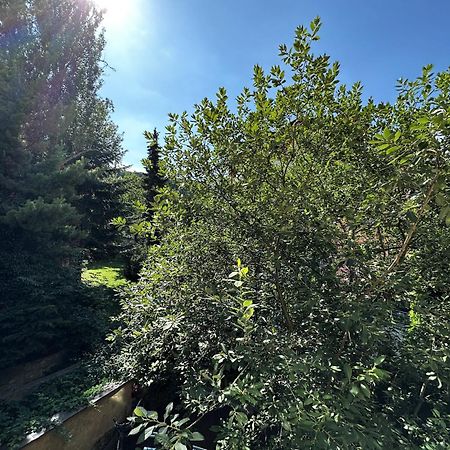 Black Eagle Apartments Πράγα Εξωτερικό φωτογραφία